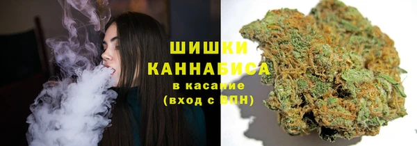 соль ск Каменногорск