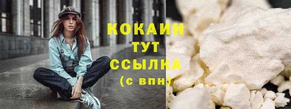 соль ск Каменногорск