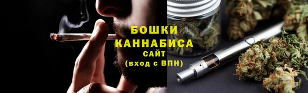 соль ск Каменногорск