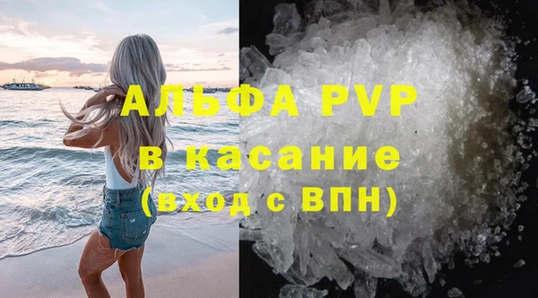 соль ск Каменногорск