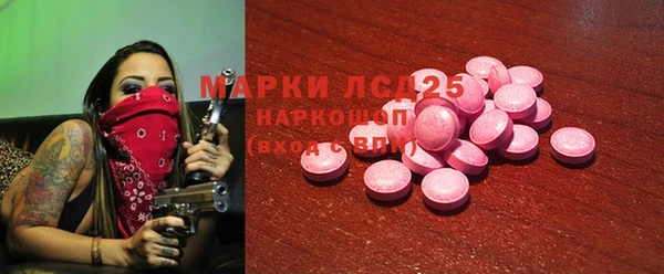 гидропоника Каменка