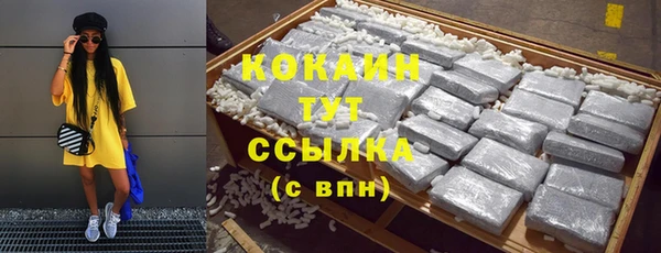 гидропоника Каменка