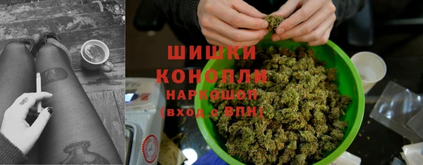 соль ск Каменногорск