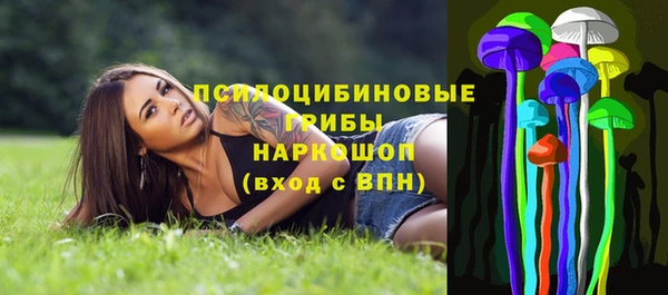гидропоника Каменка