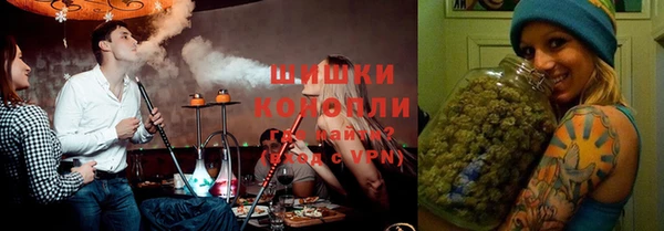 гидропоника Каменка