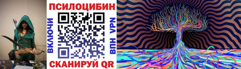 Псилоцибиновые грибы Psilocybe  Купить где  Карабаш 
